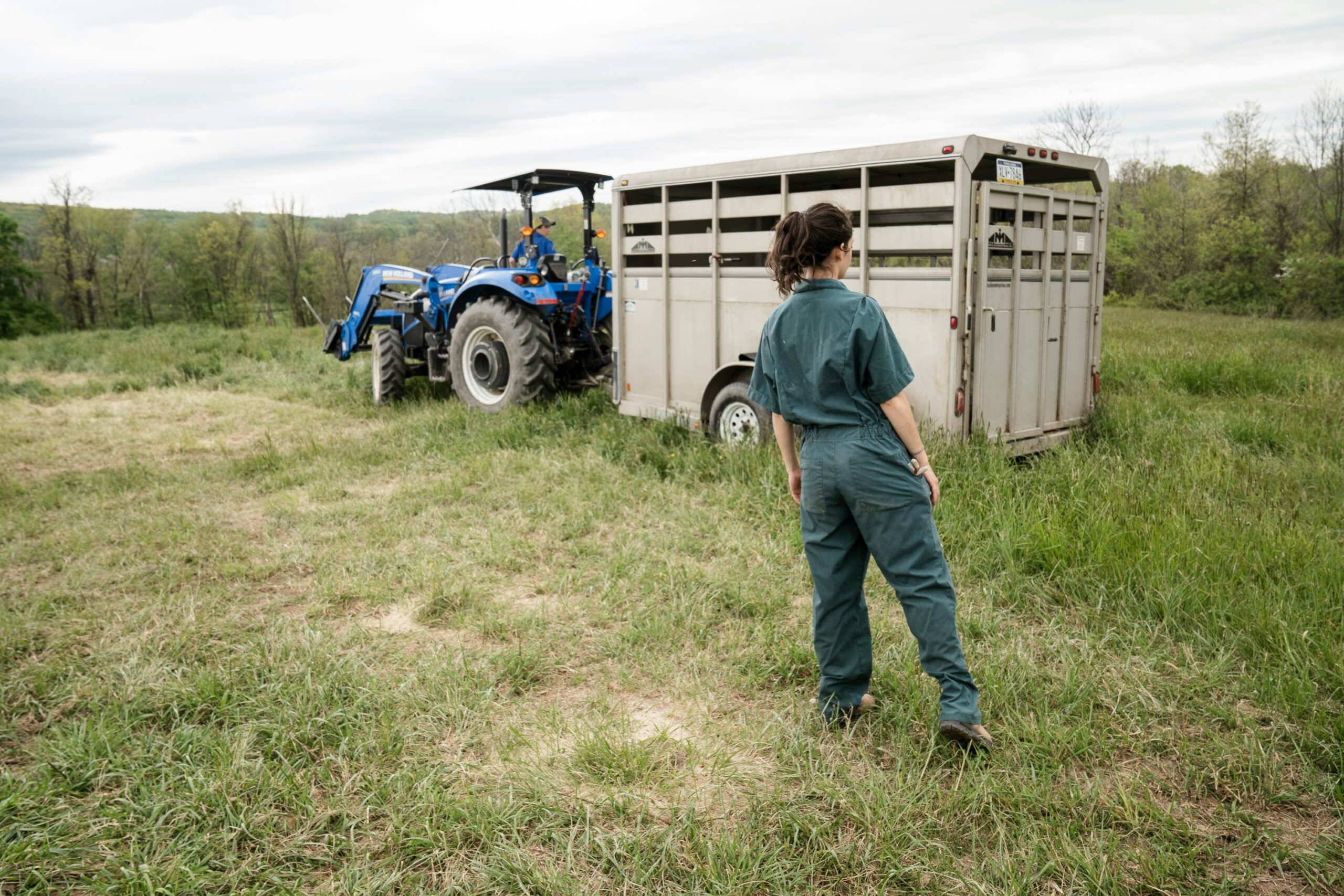 How do Ag Exemptions & Property Taxes work in Texas?